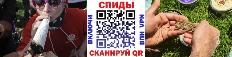 shop состав  гидра ONION  Курган  Бутират BDO 