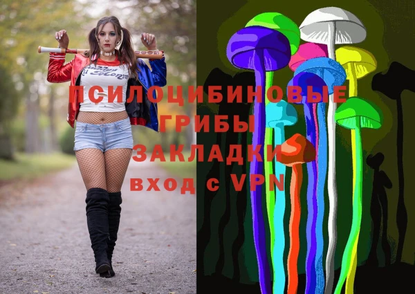 apvp Верхний Тагил